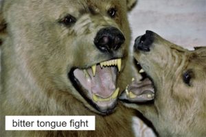壮絶な舌戦！