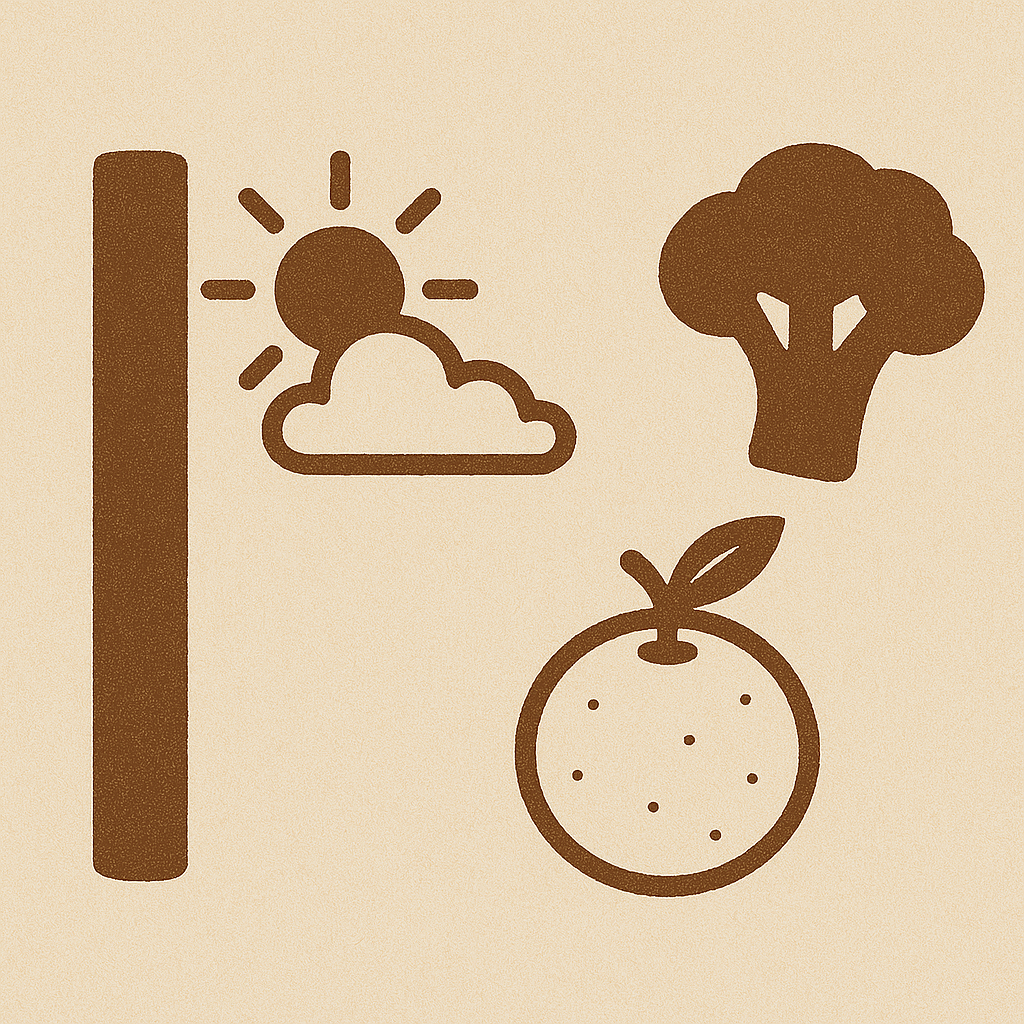 麦わらの一味を栄養素で例えて-ナミ